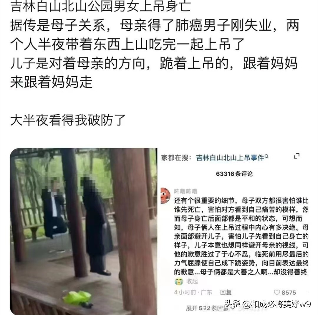 吉林白山一公园母子身亡,白山一对母子上吊事件