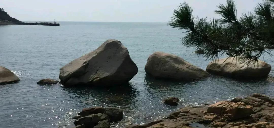 青岛八大关美食,青岛八大关