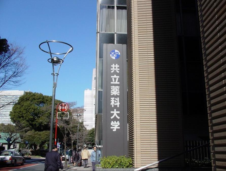 美少女战士的作者是否是名媛,美少女战士作者和富坚义博