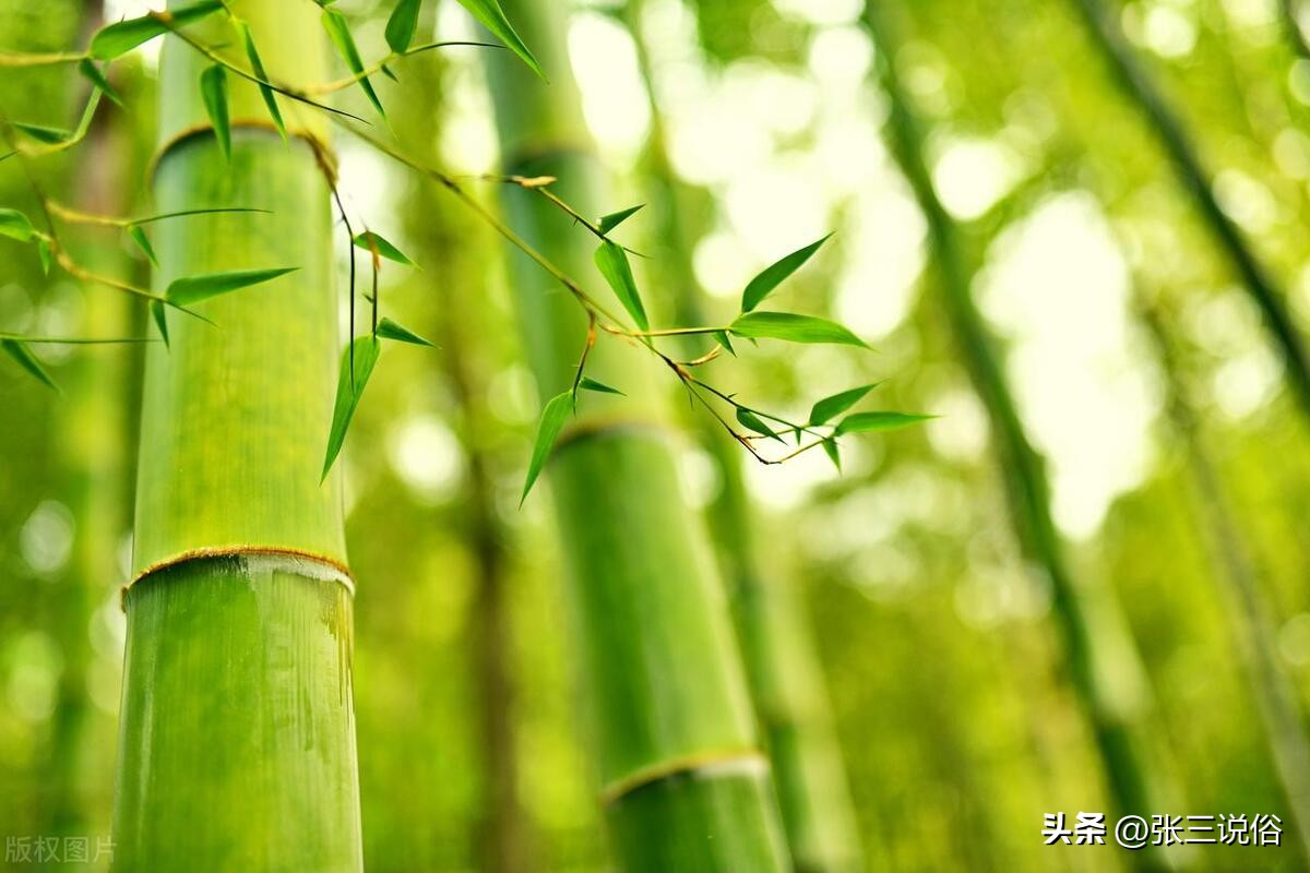 2023年几月几日入伏三伏共多少天,2023年三伏是几号到几号