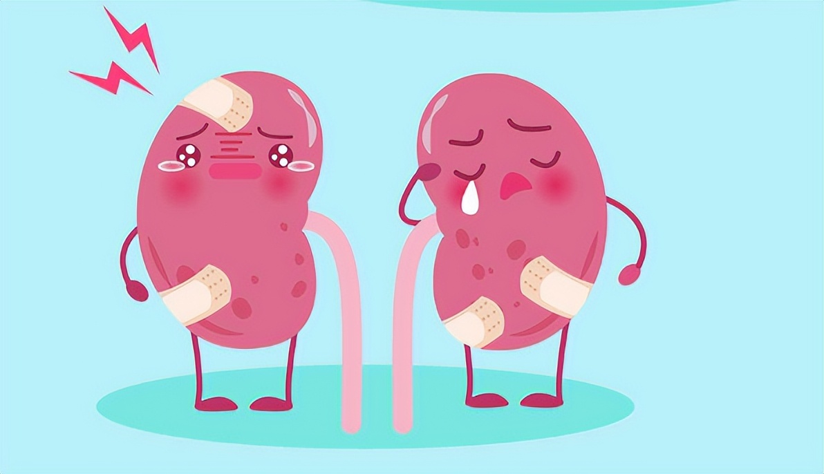 万病从肾治,万病之药大全