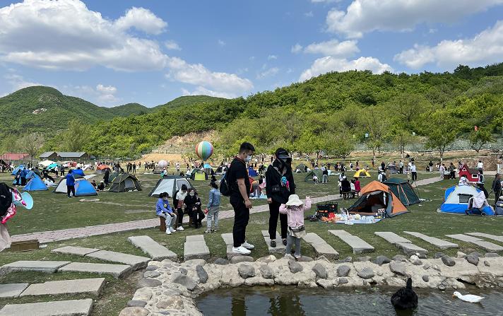 平安社区端午节活动,确保全市居民度过安稳祥和的节日