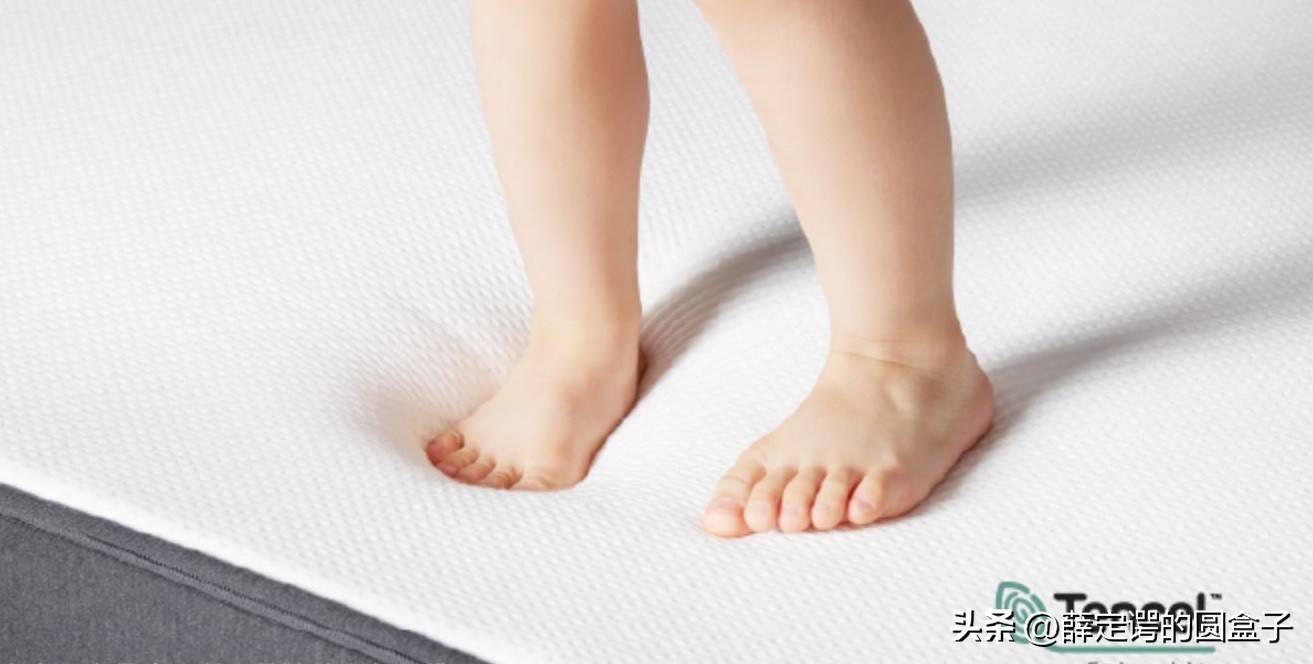 选好床垫,蓝盒子z1床垫pk菠萝斑马