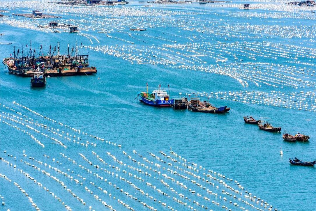 深远海养殖中心,深远海养殖