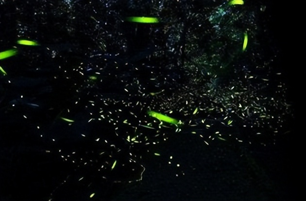 到台湾玩的说说,去台湾旅游回来的感受