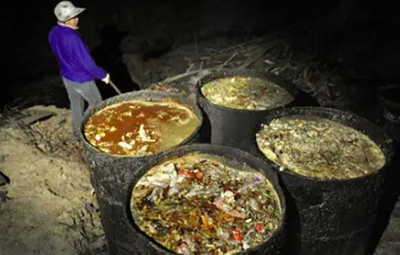 2001年高考满分作文赤兔之死译文,2001江苏满分作文赤兔之死谁写的