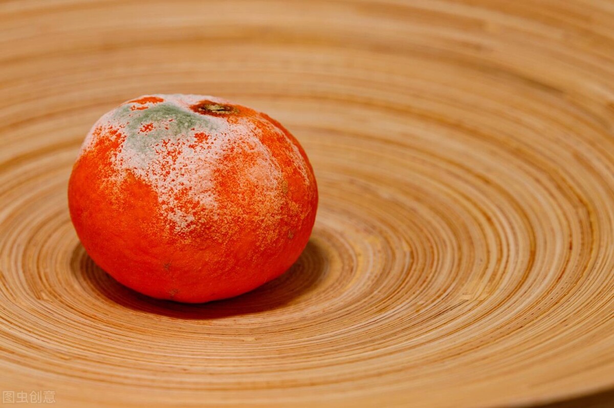 为什么回南天是湿漉漉的,回南天感觉在云里雾里