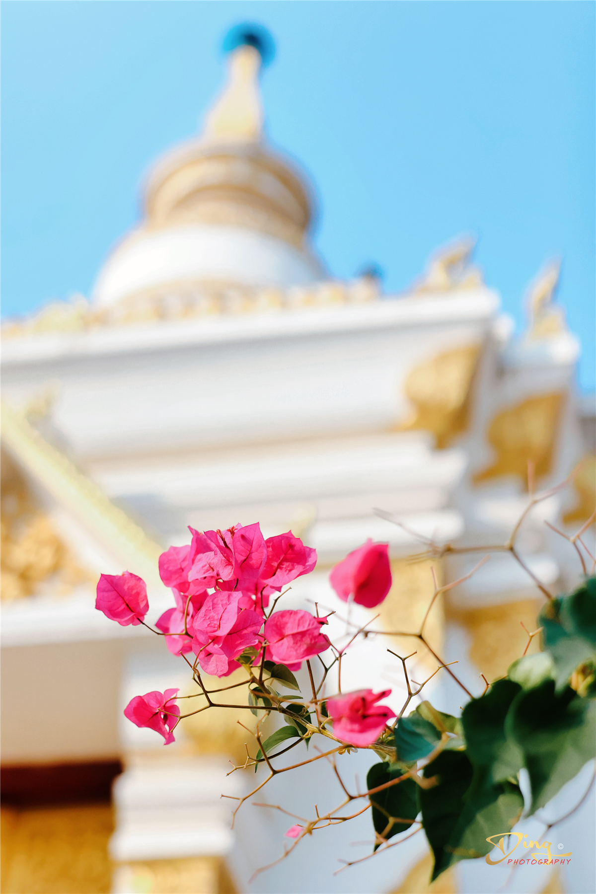 老挝之旅带你了解真实的老挝,去老挝攻略最新