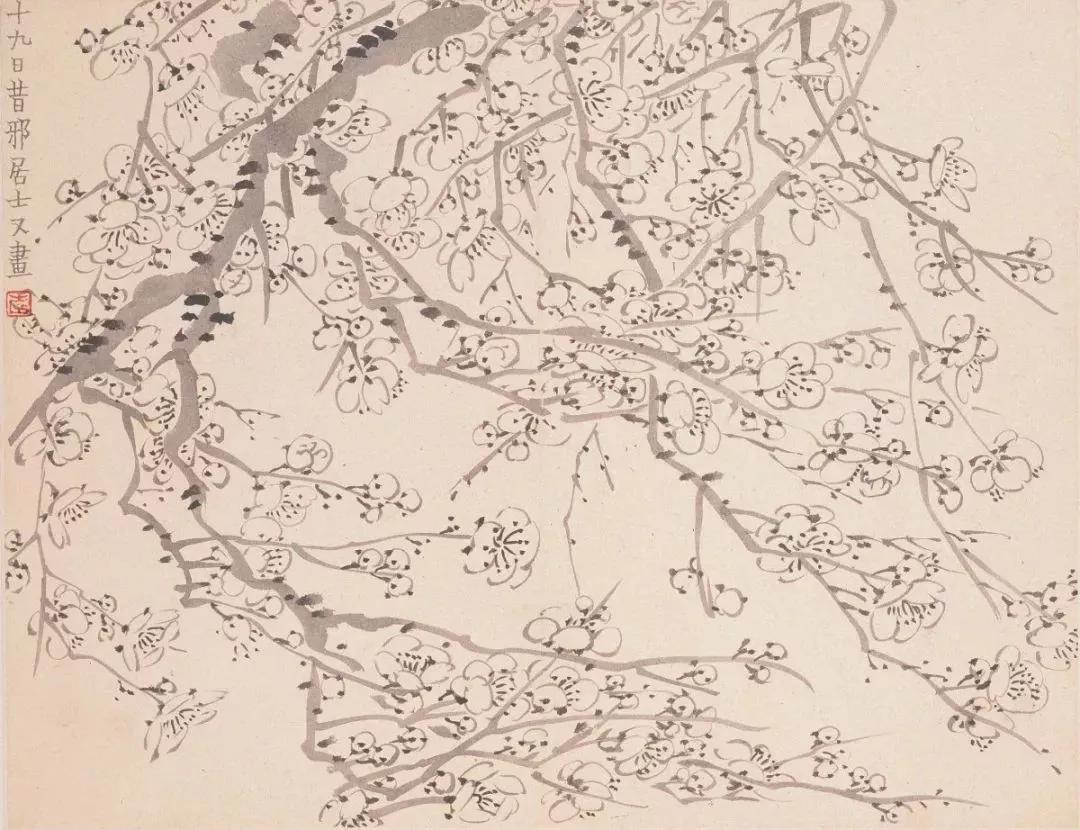 清代九大名家花鸟册页欣赏,清朝九大名家花鸟山水图