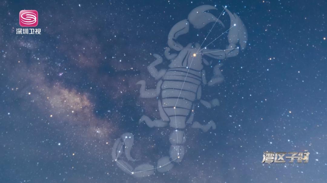 白天一起看海，晚上陪你数星星！这是什么宝藏工作？