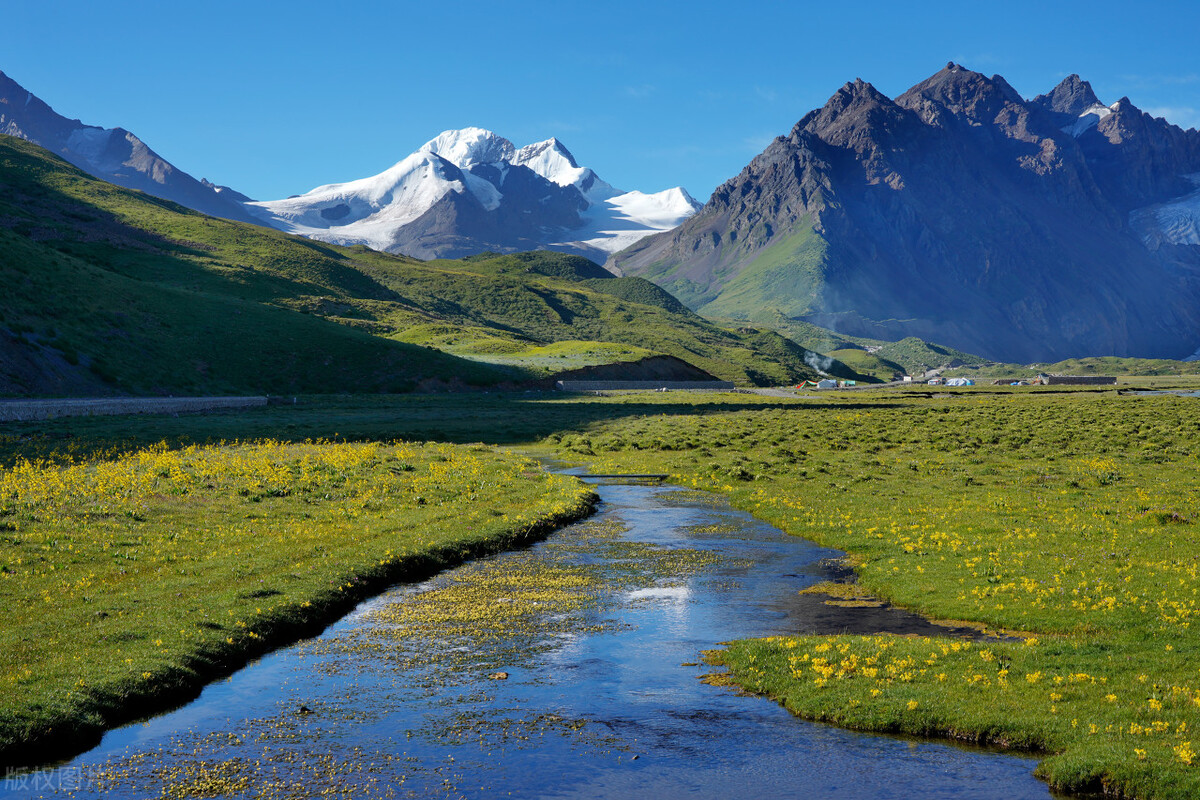 为了一棵大树而砍了整片森林,村里人砍我家一棵近百年松树