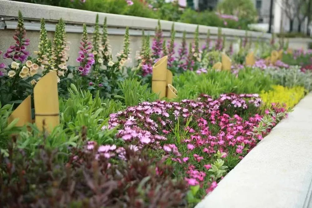 玄武景区开业,玄武艺术馆2023年规划