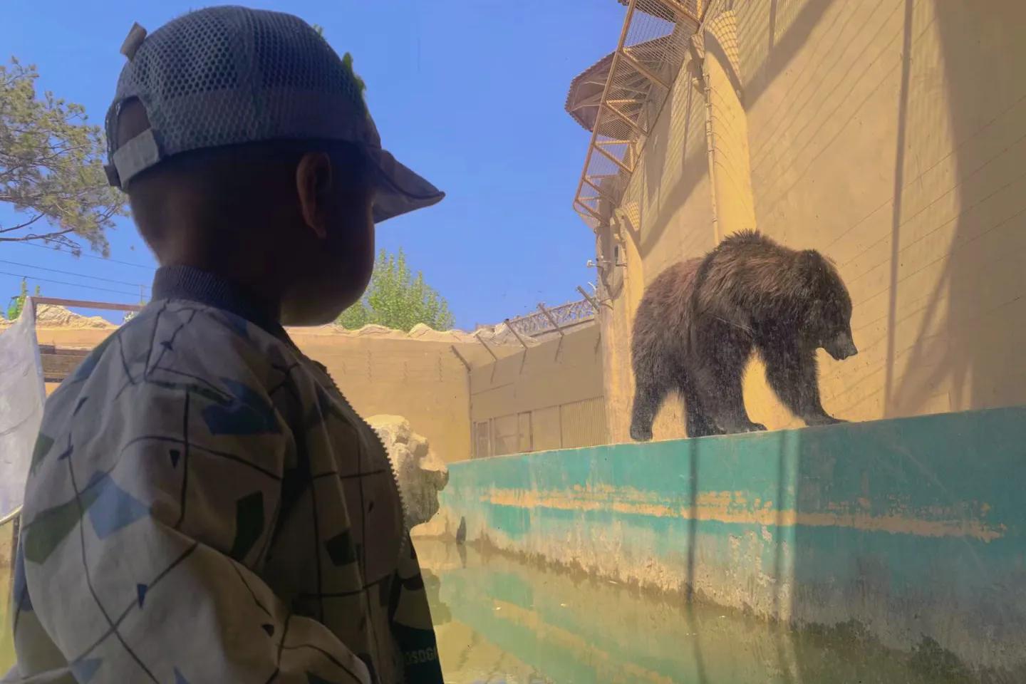 五一假期到动物园,五一出去玩花一千多