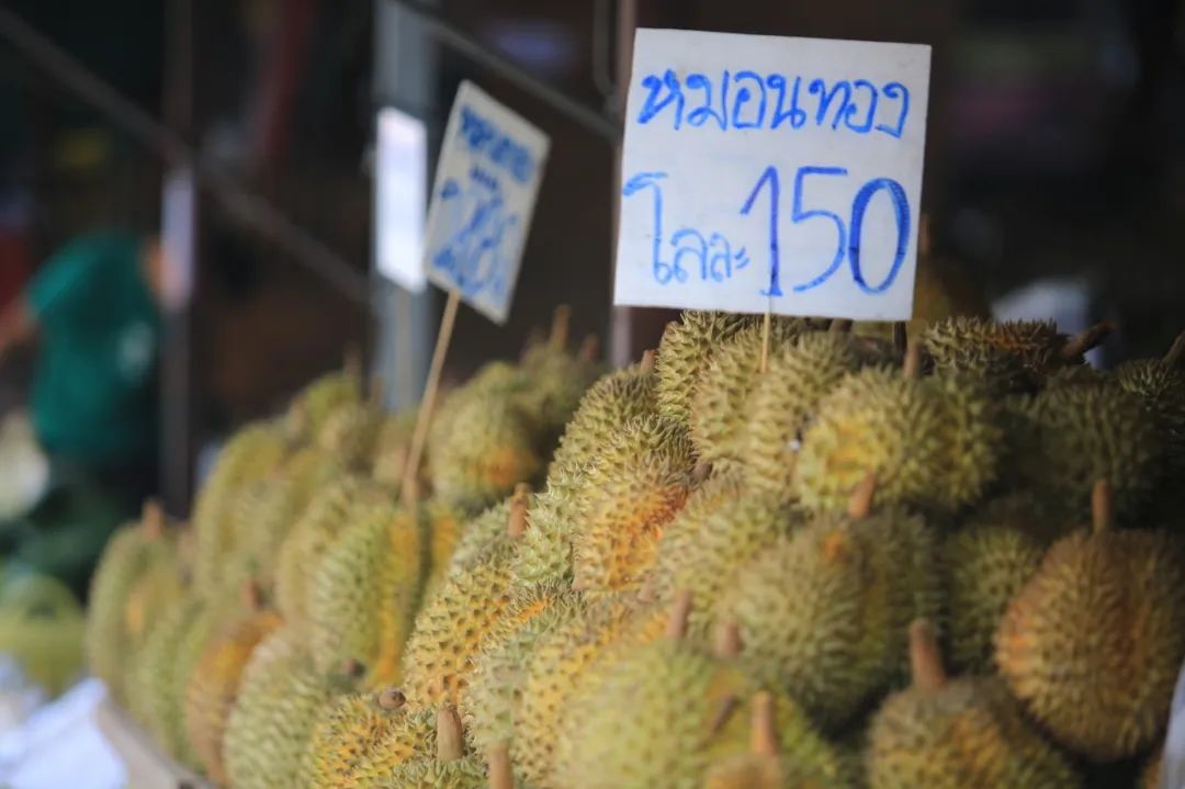 在泰国待了14天,在泰国待了60天