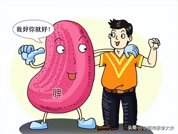 调理脾胃晚上发困,脾胃虚弱的人为什么容易犯困