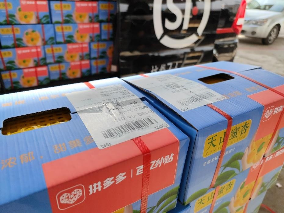 西北五省商家齐聚拼多多“农云”课堂，摩拳擦掌抢滩水果热销赛道