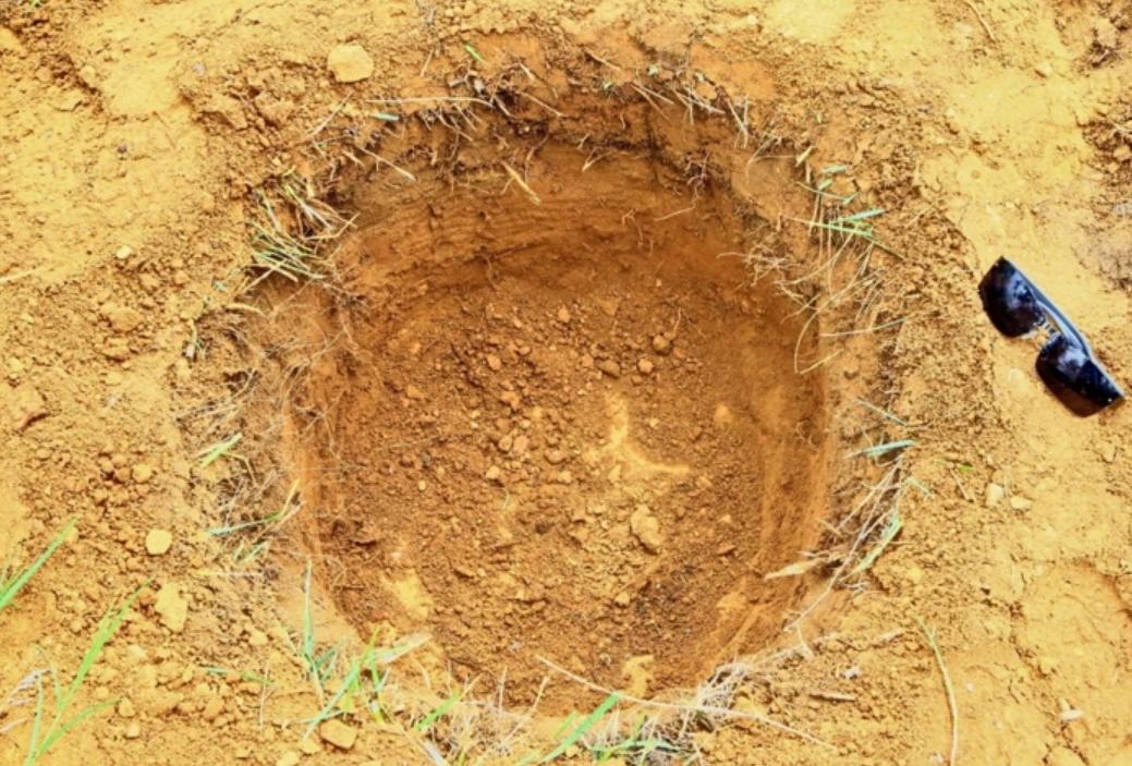 李宁获刑12年新闻,李宁杀妻案