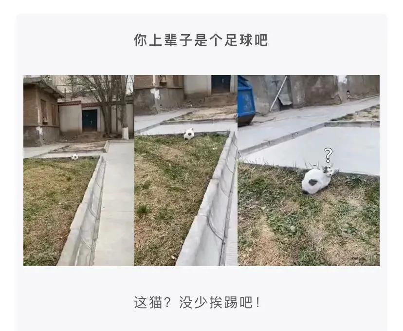 这个是学校校花？不过痣长的挺有特点的