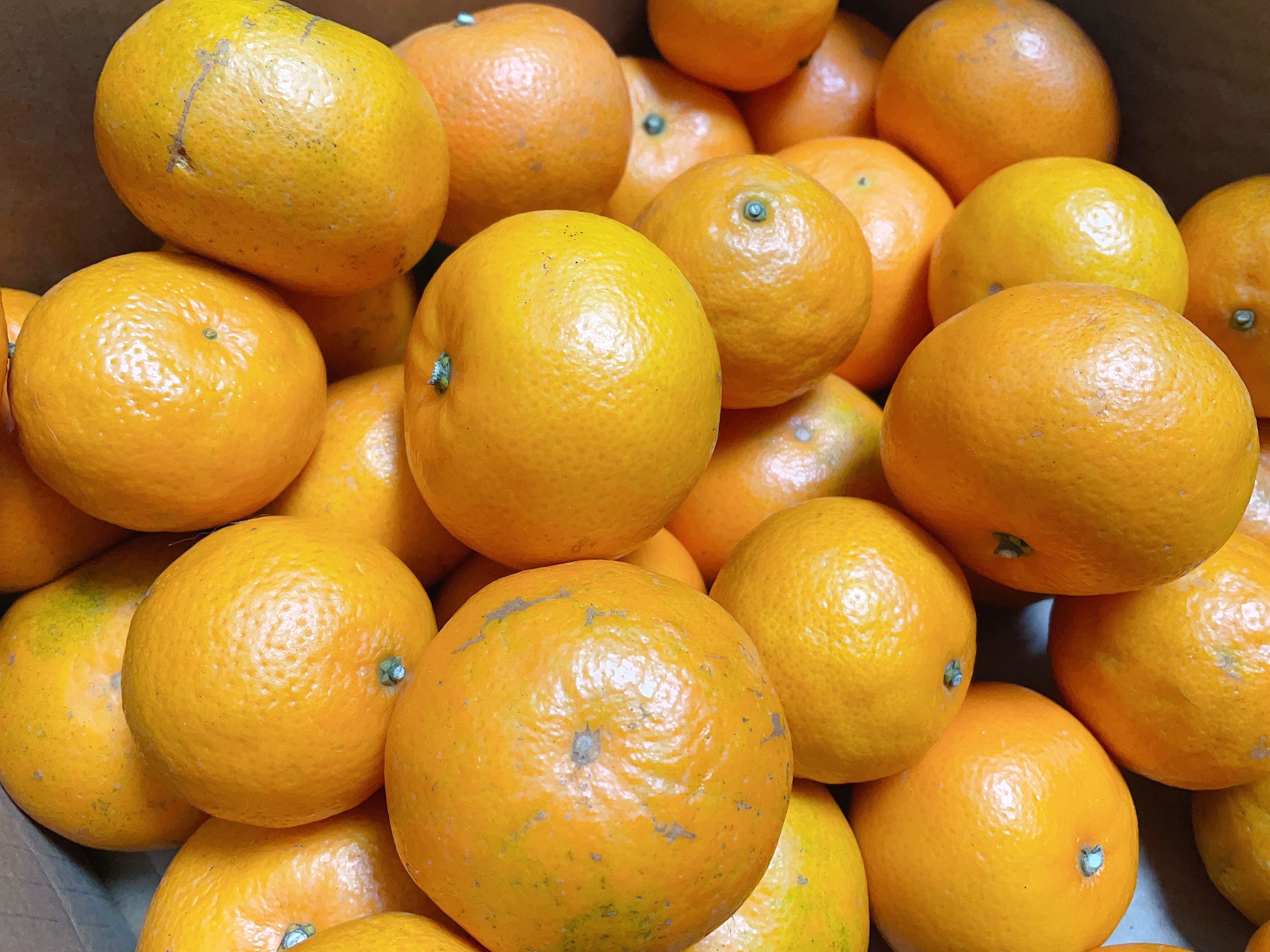 橘子皮千万别扔这样用效果惊人,橘子皮的三个使用小妙招