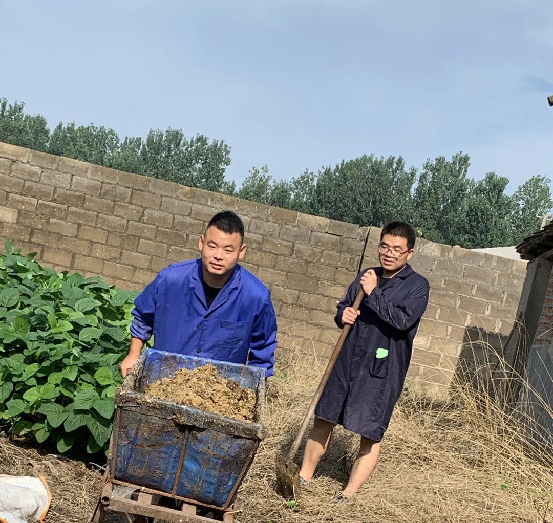 高考加油|一亩田上的研究生、本科生是如何致富的?