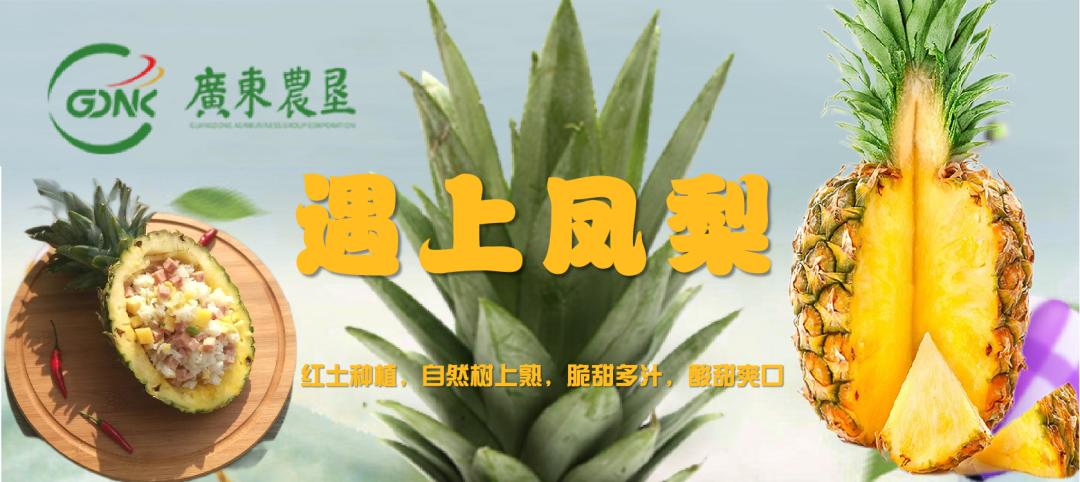 遇上凤梨，了解一个外表粗糙、内心甜美的“热带水果姑娘”！