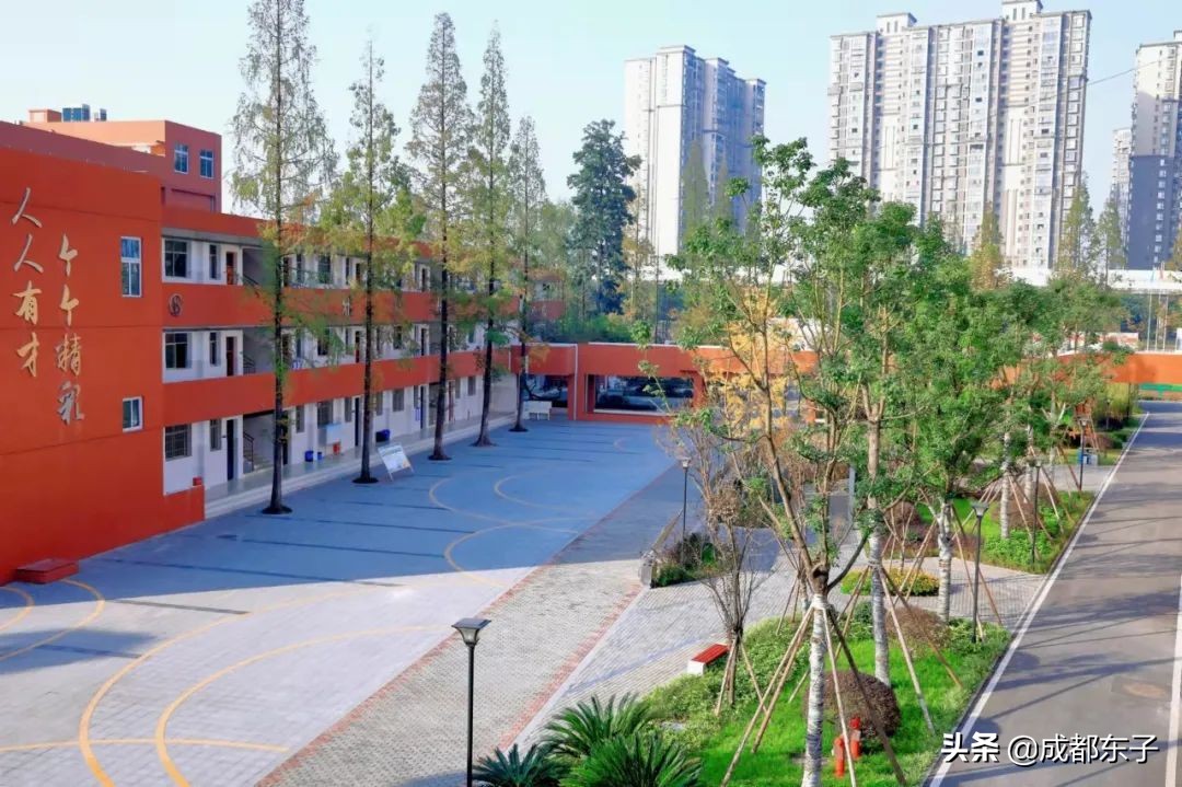 新都大丰北星中学是普高还是重高,大丰北星中学入学条件