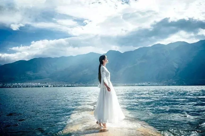 赏一窗花开盼一世安好度一场清欢,看一窗花开盼一世安好度一场清欢