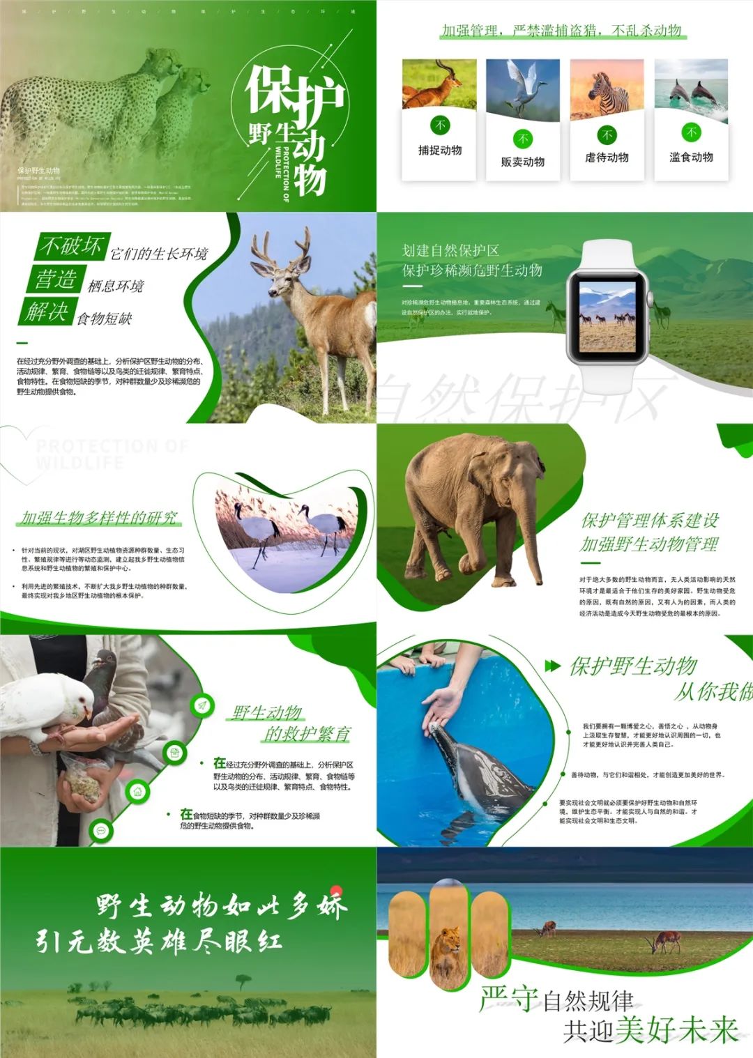 世界野生动植物日保护宣传活动,世界野生动植物保护日英语