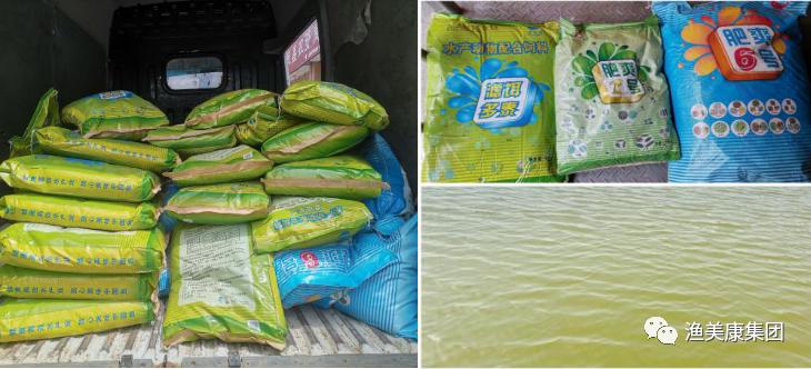 破解锚头鳋之谜,夏日出连环招,虫子不再盯上你的鱼