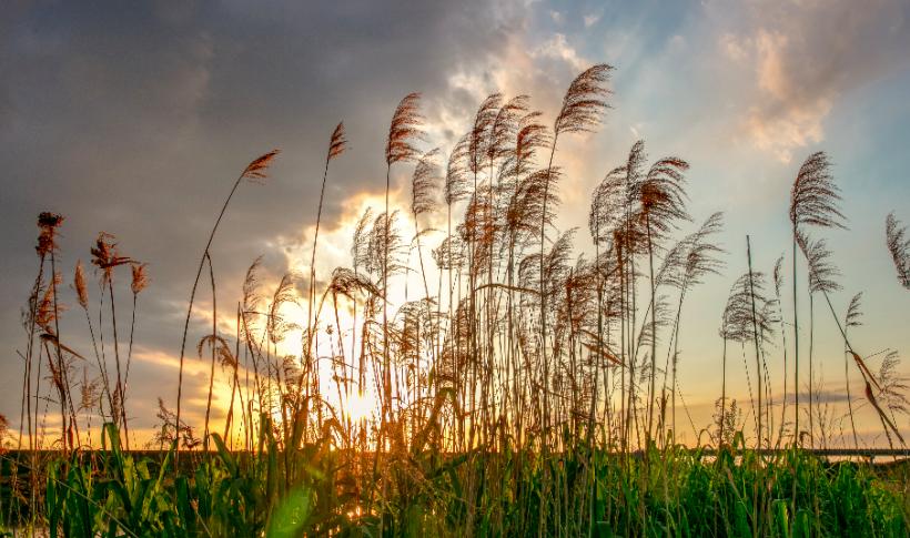 西安湿地风景区,西安东郊最美湿地公园