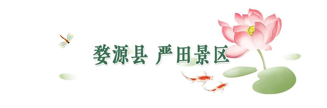 全球学子嘉游赣|上饶的第一波荷花开了，让我们一起步入飘满荷香的夏天！