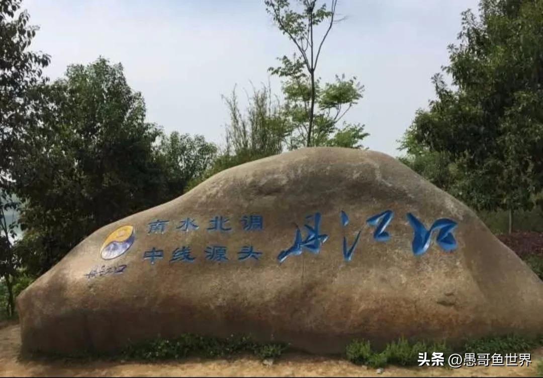 丹江口禁渔2018筏钓,丹江口筏钓被禁钓了吗