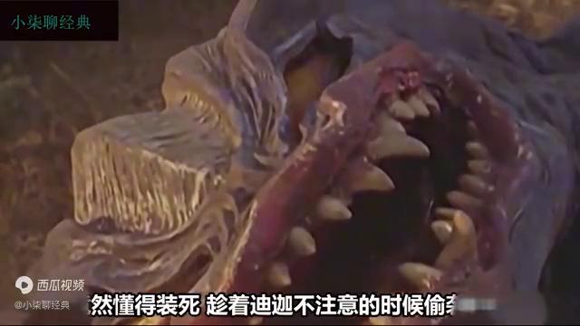 人类想和怪兽当朋友,怪兽把朋友当食物!迪迦第六集