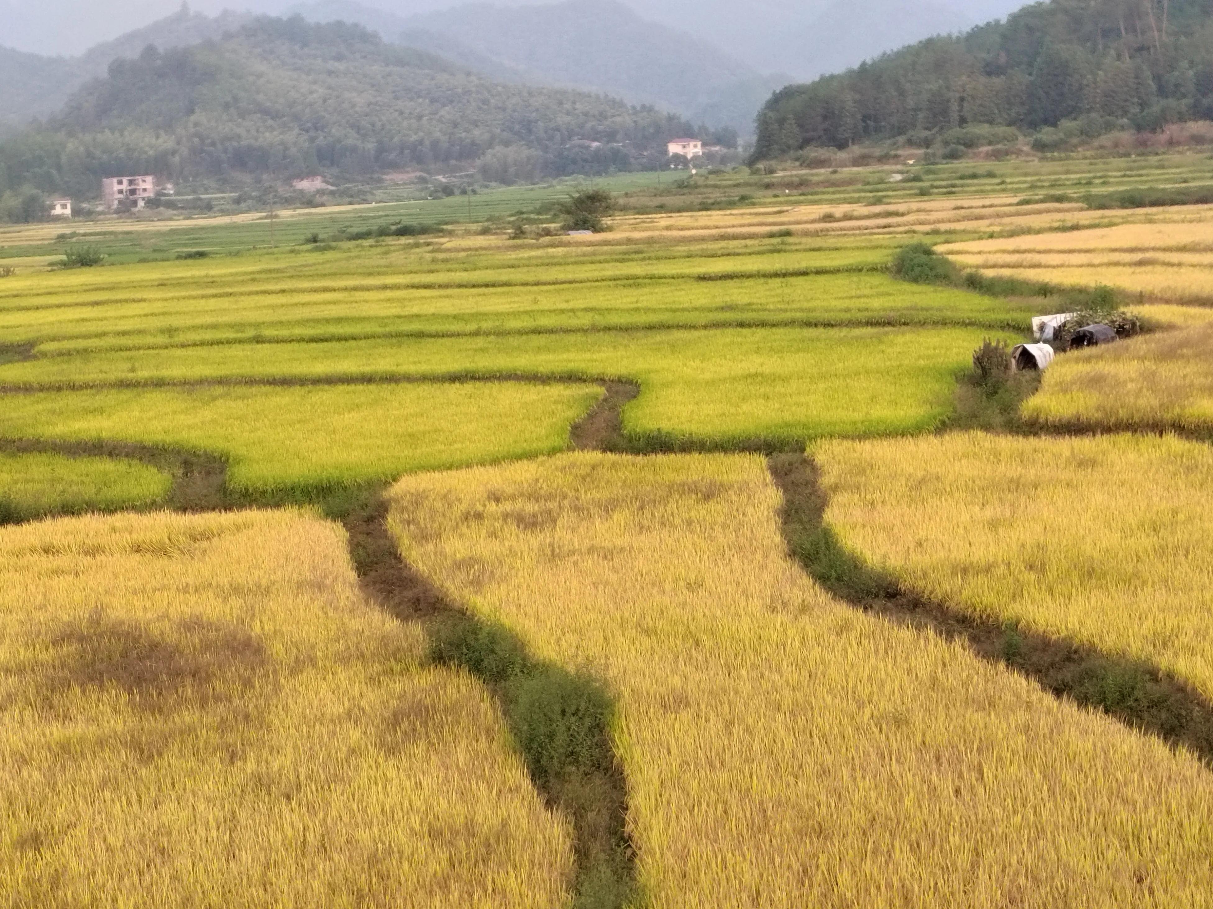 手拍世界手机摄影平台,手拍世界摄影网