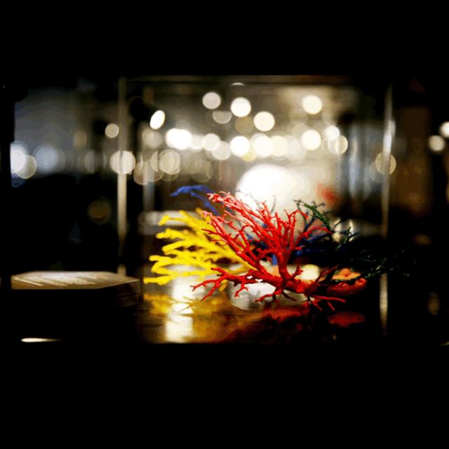 全球3d打印的火箭发射成功了吗,世界首枚3d打印火箭再发射