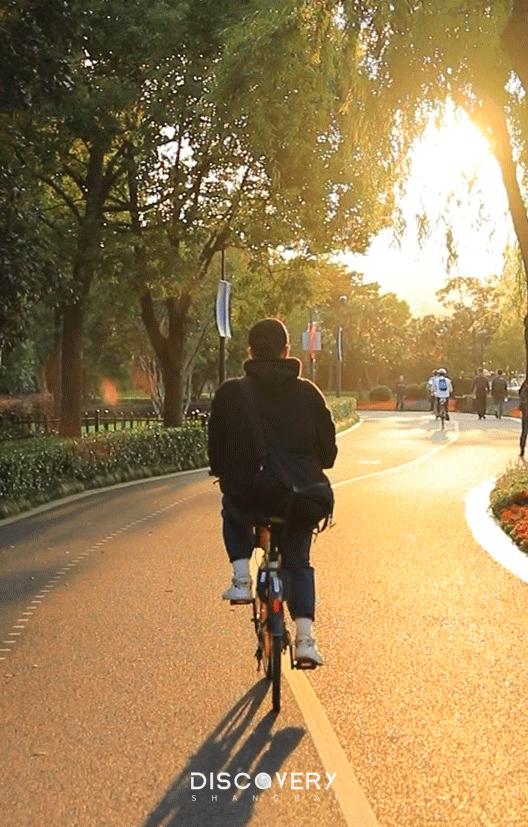 上海周末骑行好去处,上海周边适合春天骑行的地方排名