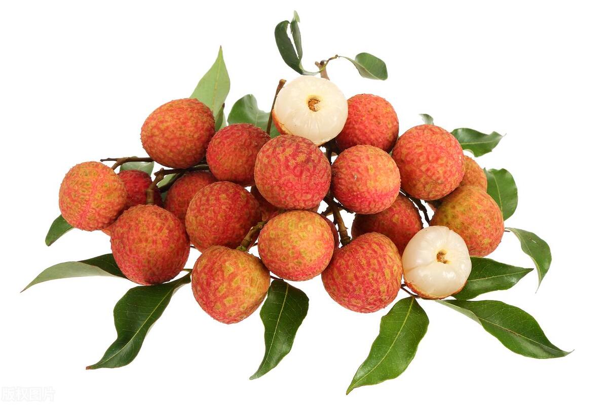 荔枝多少钱一斤妃子笑,今日妃子笑高州荔枝价格