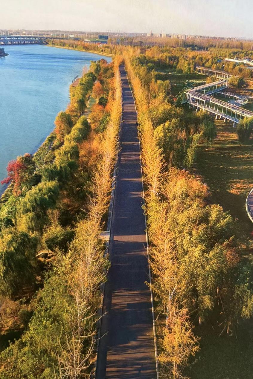 碧桂园最新的情况官方消息郑州,郑州碧桂园凤凰城二期凤和苑降价