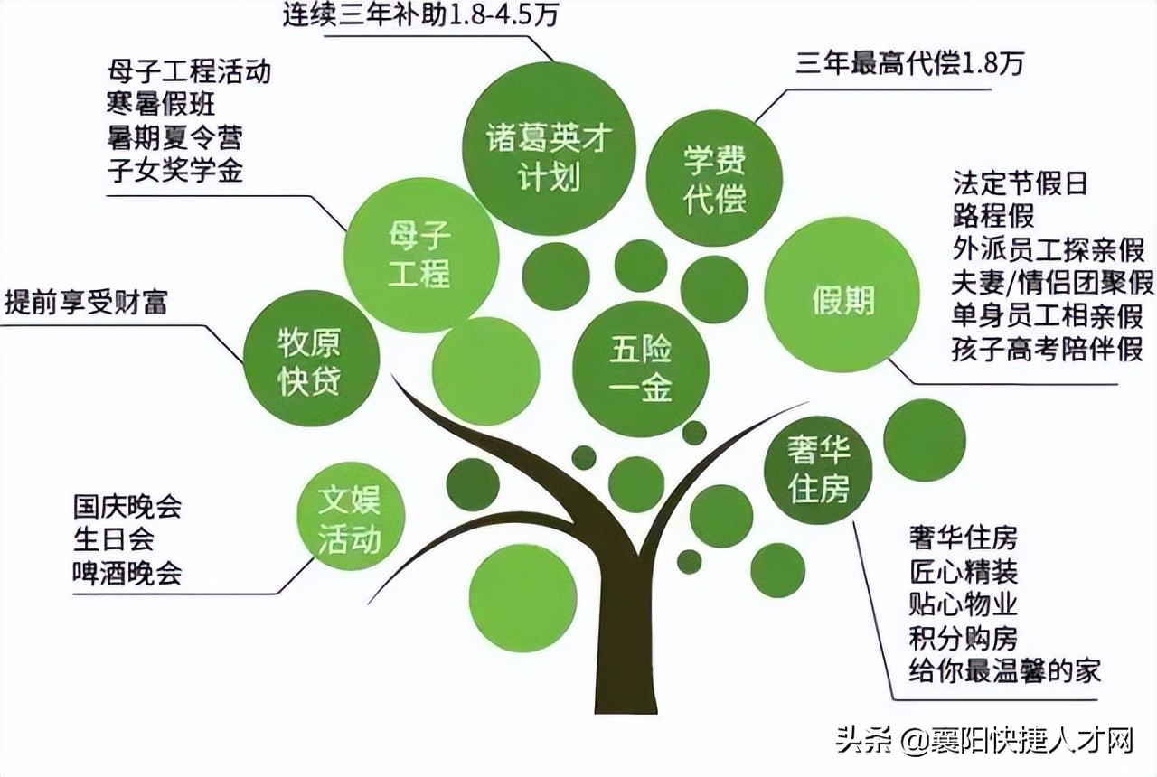 牧原集团五险一金按什么比例交的,牧原公司五险一金是交到了哪里