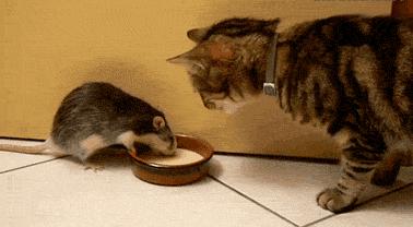 丝袜上可以纹身吗,穿丝袜能看出来纹身吗