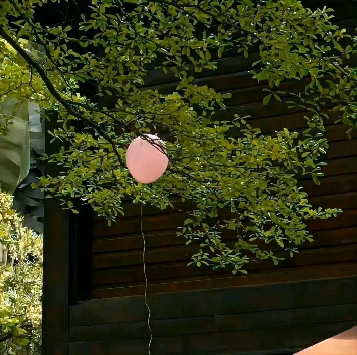 喜欢上我的咨询师，该继续找他咨询吗？