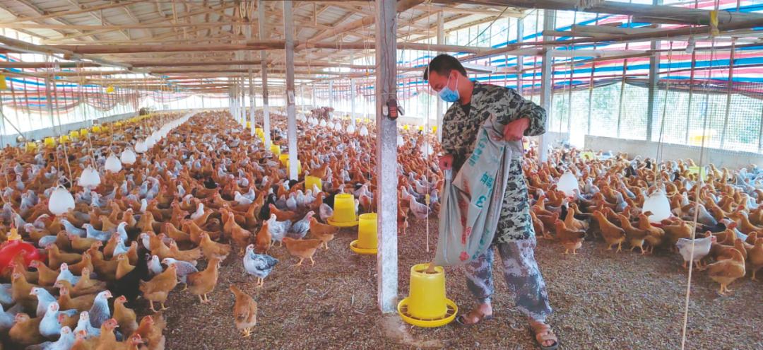 发展特色产业助力村民脱贫致富,发展农机合作社带领全村人致富