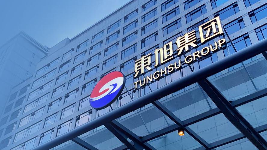 东旭集团深度分析,东旭集团如何应对当前的债务危机