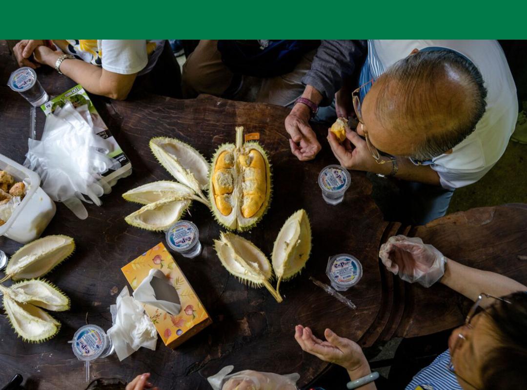 中国进口榴莲种植,中国市场所有榴莲都是进口的吗