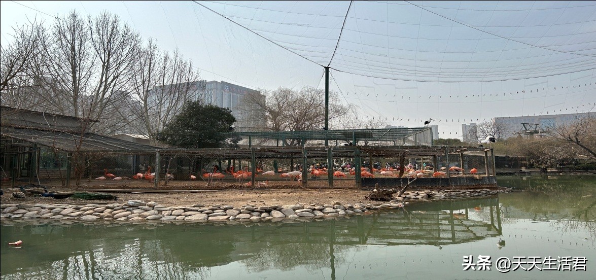 郑州适合亲子旅游的地方,郑州出发三天两晚亲子旅游攻略