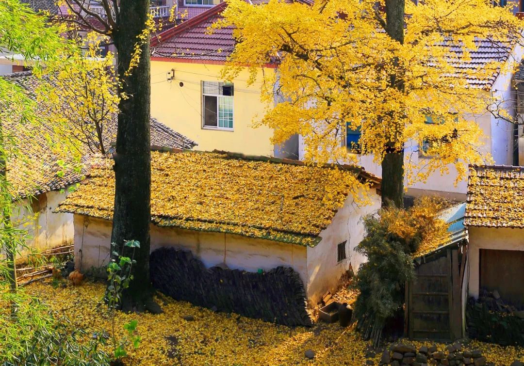 火热的周边游喂饱了本地生活,划算的周边游