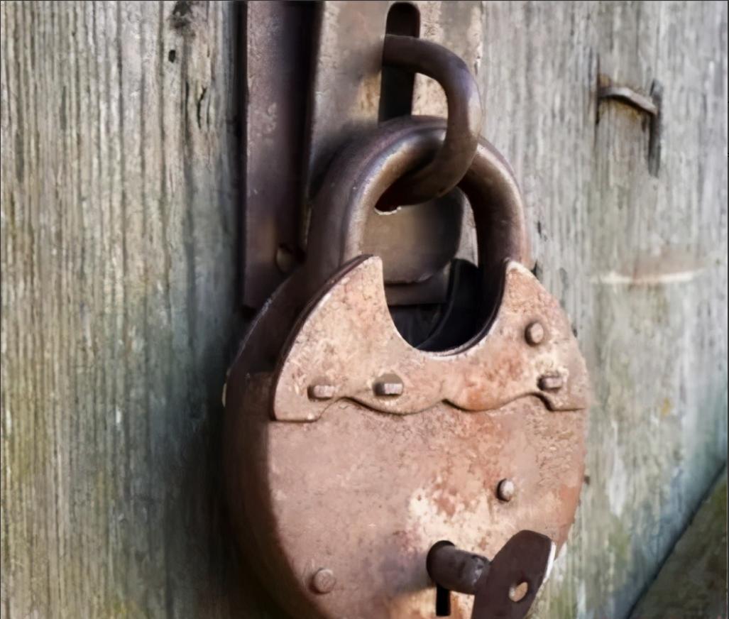 中国第一懒人杨锁23岁懒死在家中,河南第一懒人杨锁图片