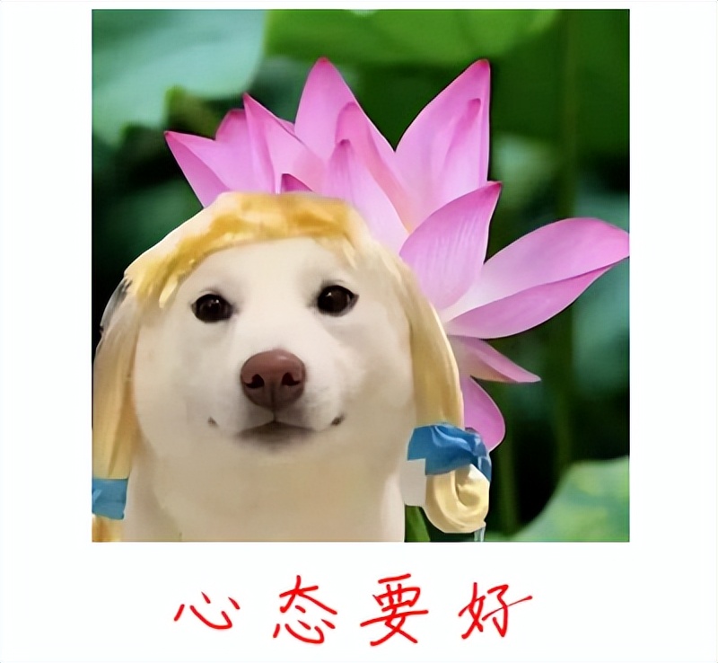 新生儿阳了怎么处理,新生儿阳了如何用药