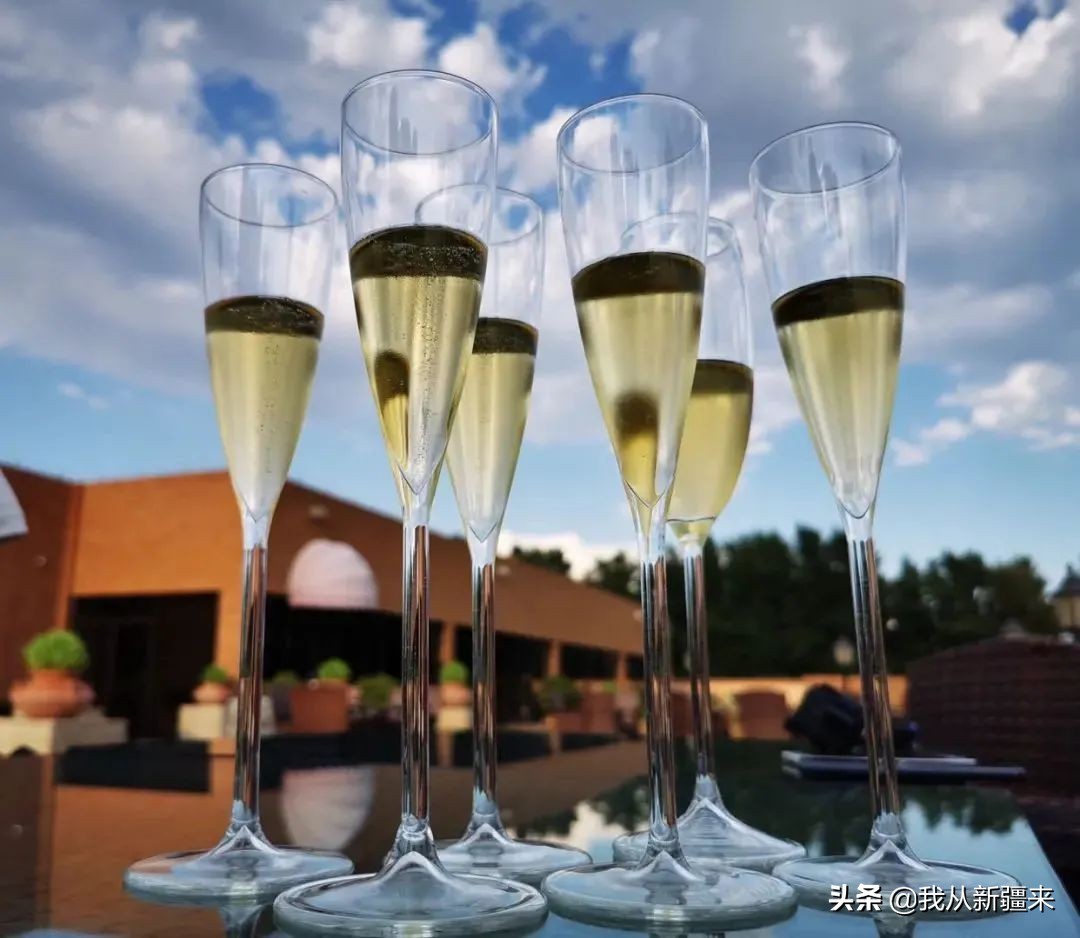 *疆新**葡萄的自我修养