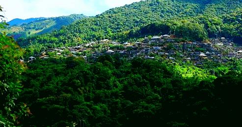 茶语春秋中国茶文化讲了什么,茶话春秋